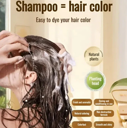 Japanese Long Lasting Natural Hair Dye Shampoo (Buy 1 Get 1 Free)